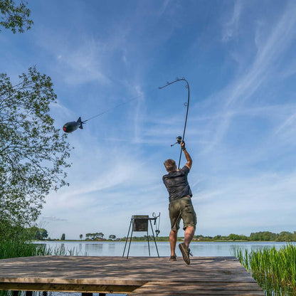 Avid Bait Station or Kit