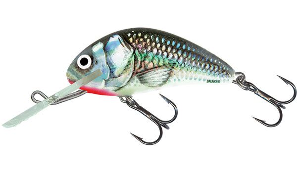 Salmo Hornet Floating Holographic Grey Shiner 6cm 