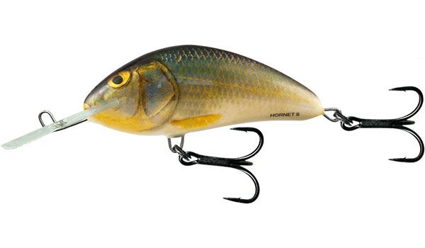 Salmo Hornisse schwimmend 9cm