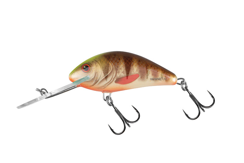 Salmo Hornet Crankbait Flottant 6cm